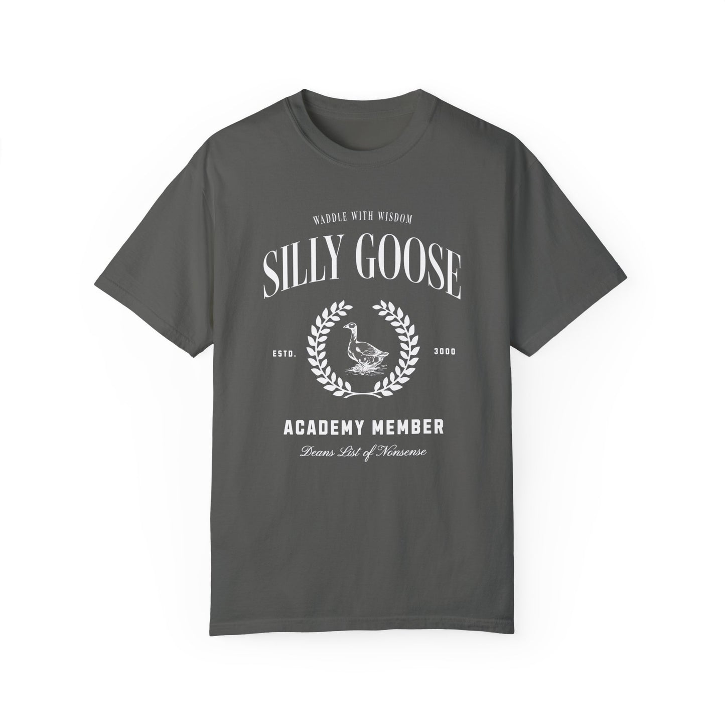 Silly Goose Academy Graphic Tee